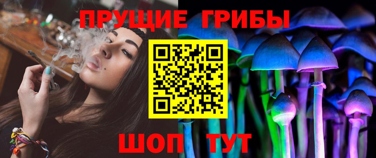 Псилоцибиновые грибы GOLDEN TEACHER  Вход с VPN  Конаково 